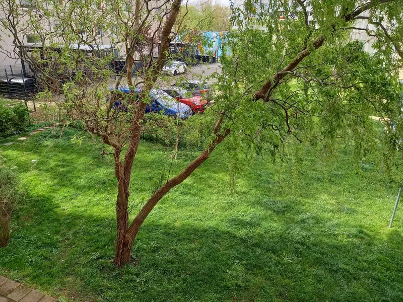 Studio mit 27 m² in Dresden – Bild 7