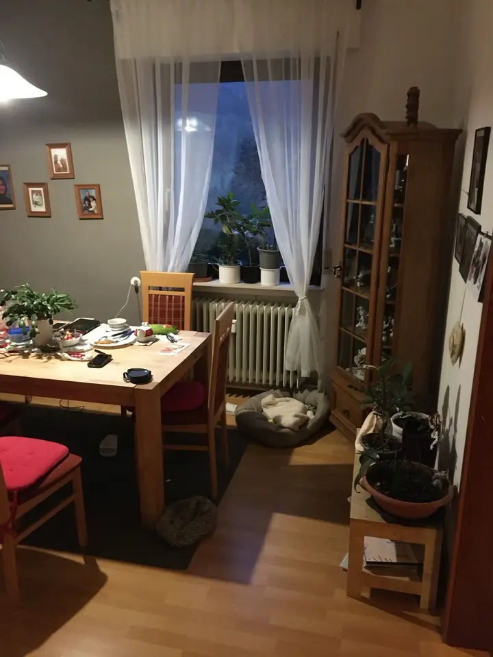 3 Zimmer Wohnung mit 78 m² in Michelstadt – Bild 7