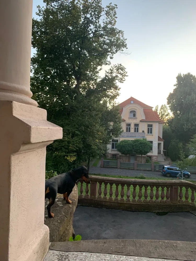 1 Zimmer Wohnung mit 19 m² in Göttingen – Bild 3