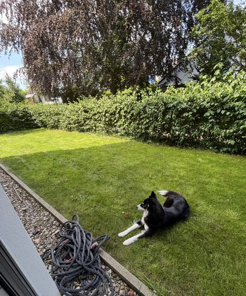 3 Zimmer Wohnung mit 86 m² in Hannover – Bild 1