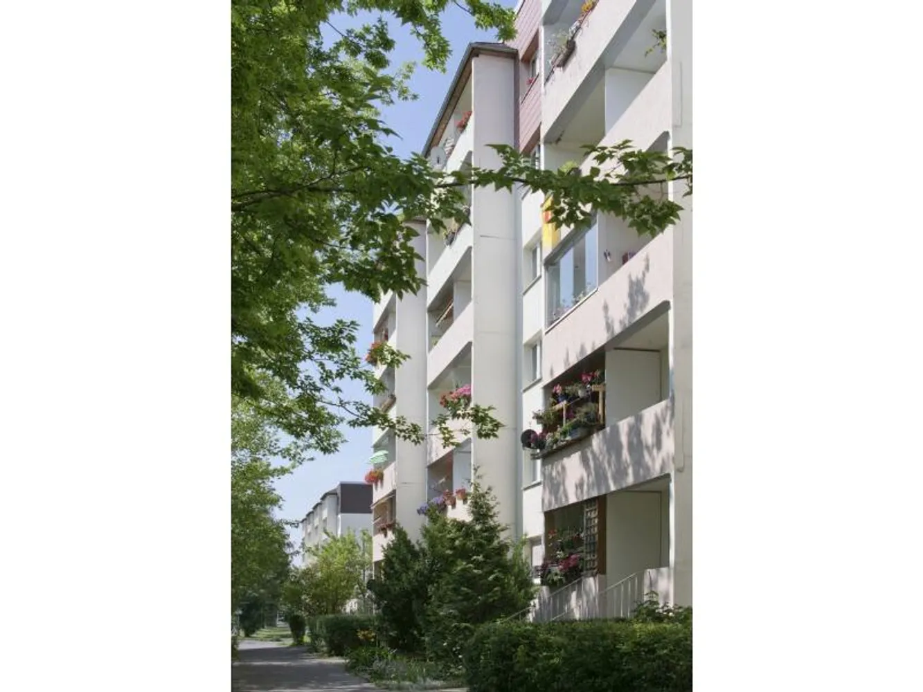 3 Zimmer Wohnung mit 57 m² in Halle (Saale) – Bild 1