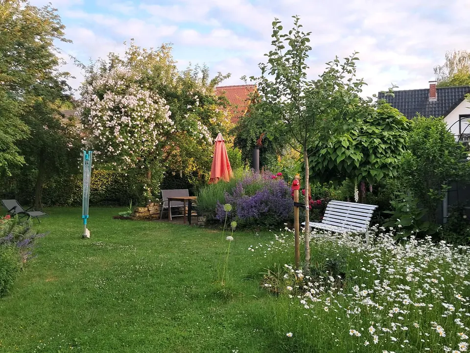 8 Zimmer Haus mit 150 m² in Detmold – Bild 3