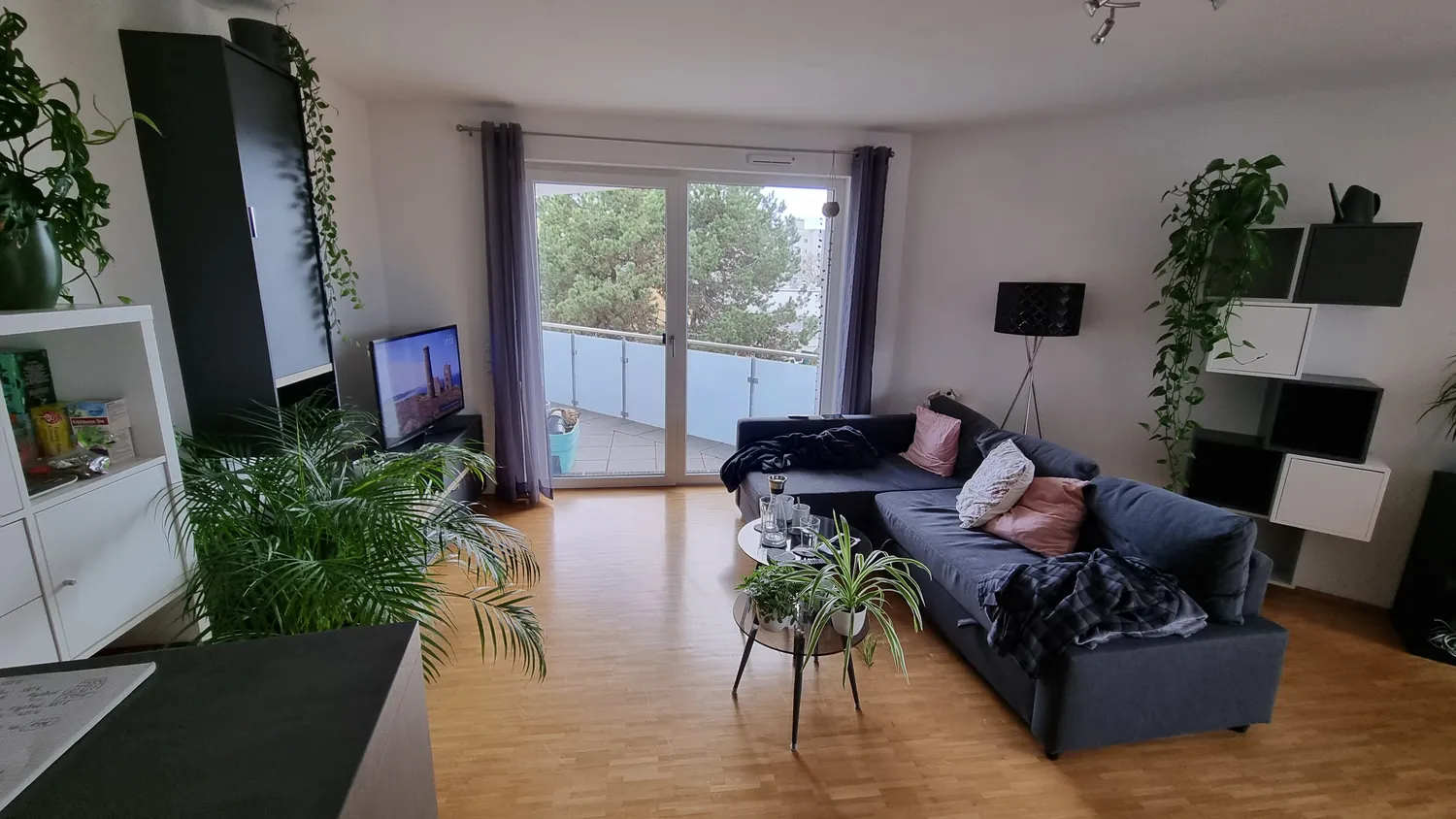 2 Zimmer Wohnung mit 48 m² in Bonn – Bild 1