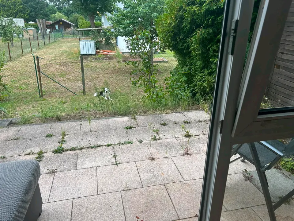 Studio mit 38 m² in Oranienburg – Bild 4