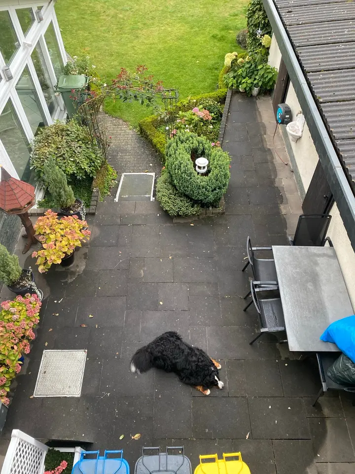 WG-Zimmer mit 20 m² in Wetzlar – Bild 7