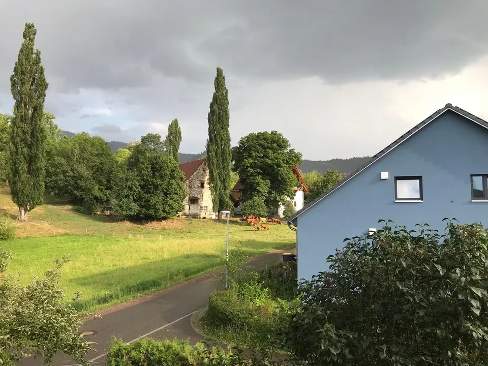 WG-Zimmer mit 106 m² in Waldshut-Tiengen – Bild 2