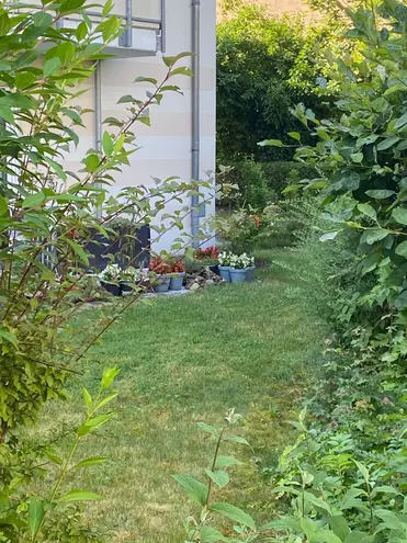 3 Zimmer Wohnung mit 75 m² in Dresden – Bild 4