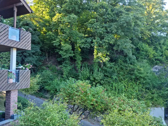 2 Zimmer Wohnung mit 68 m² in Heidelberg – Bild 2