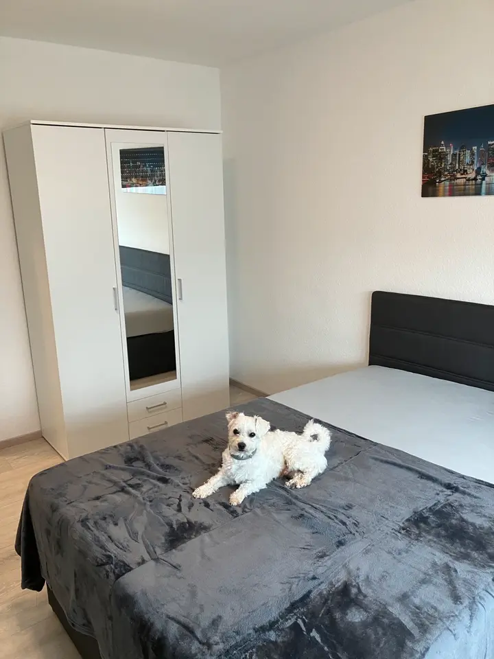 WG-Zimmer mit 70 m² in Pforzheim – Bild 2