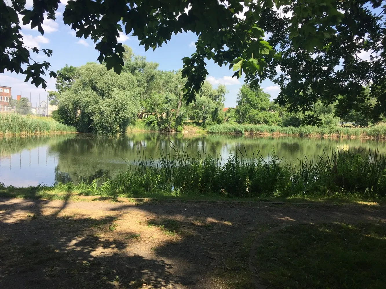 2 Zimmer Wohnung mit 51 m² in Frankfurt (Oder) – Bild 10