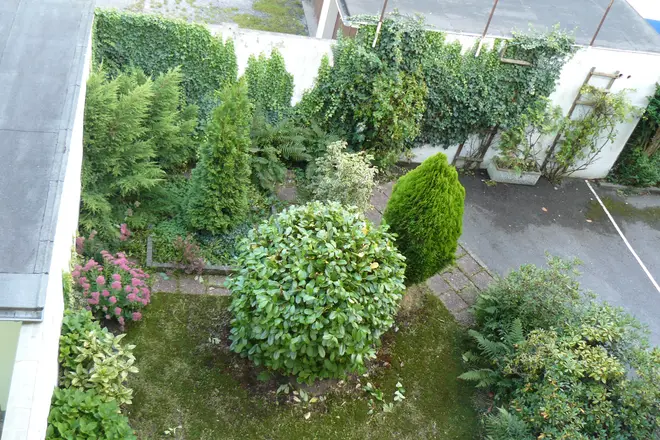 4 Zimmer Wohnung mit 72 m² in Essen – Bild 6