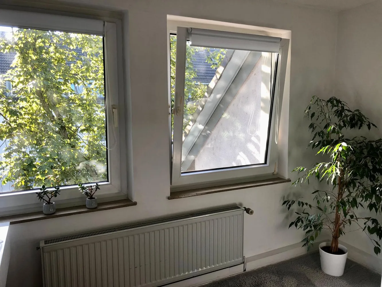 3 Zimmer Wohnung mit 65 m² in Bonn – Bild 2