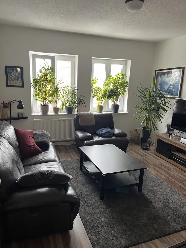 3 Zimmer Wohnung mit 69 m² in Magdeburg – Bild 2