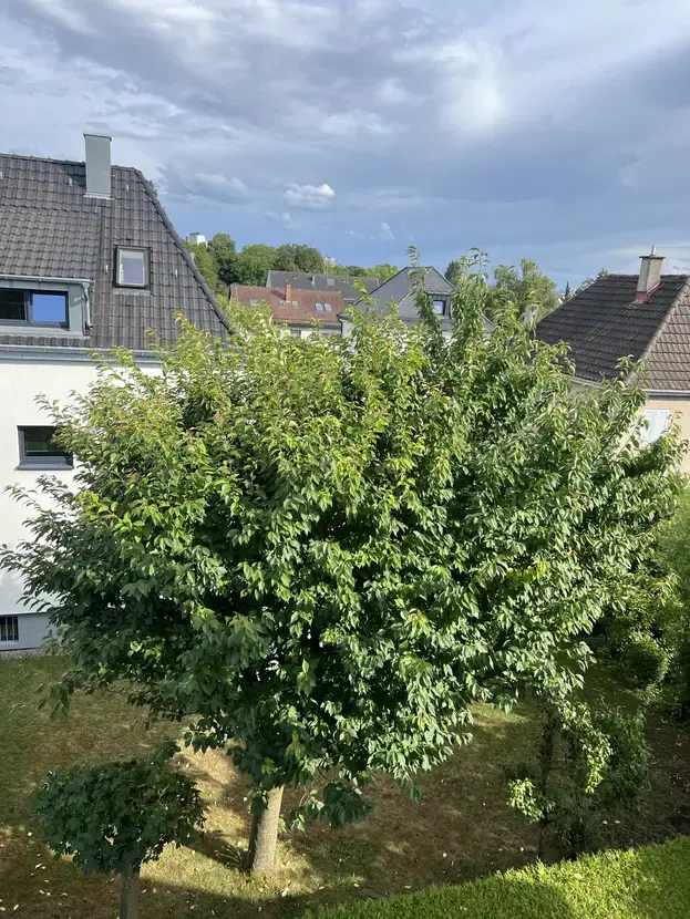 Studio mit 32 m² in Stuttgart – Bild 3