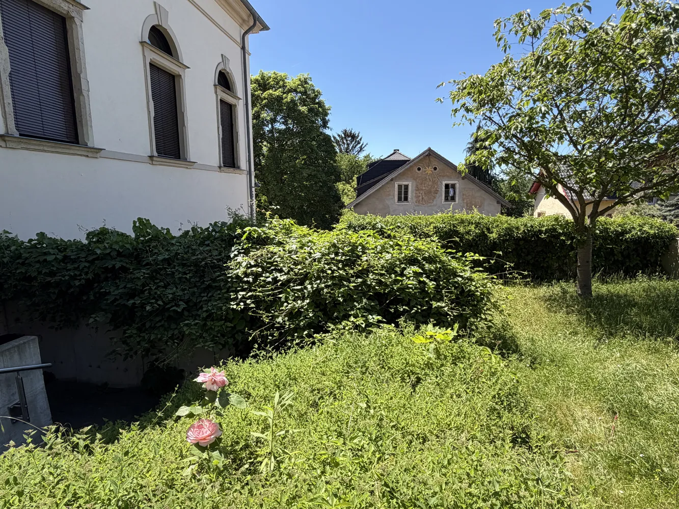 2 Zimmer Wohnung mit 72 m² in Dresden – Bild 6