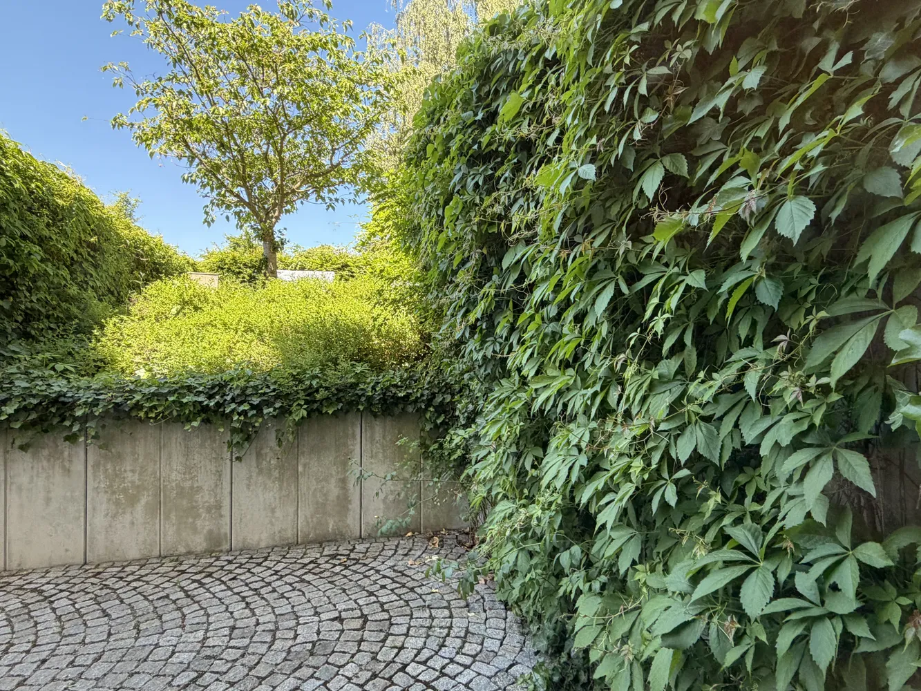 2 Zimmer Wohnung mit 72 m² in Dresden – Bild 10