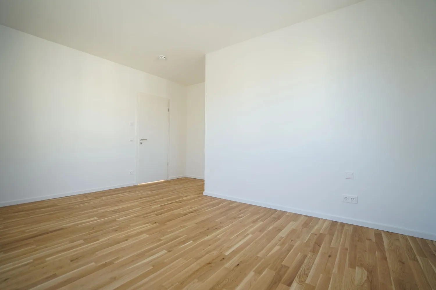 2 Zimmer Wohnung mit 96 m² in Dresden – Bild 8