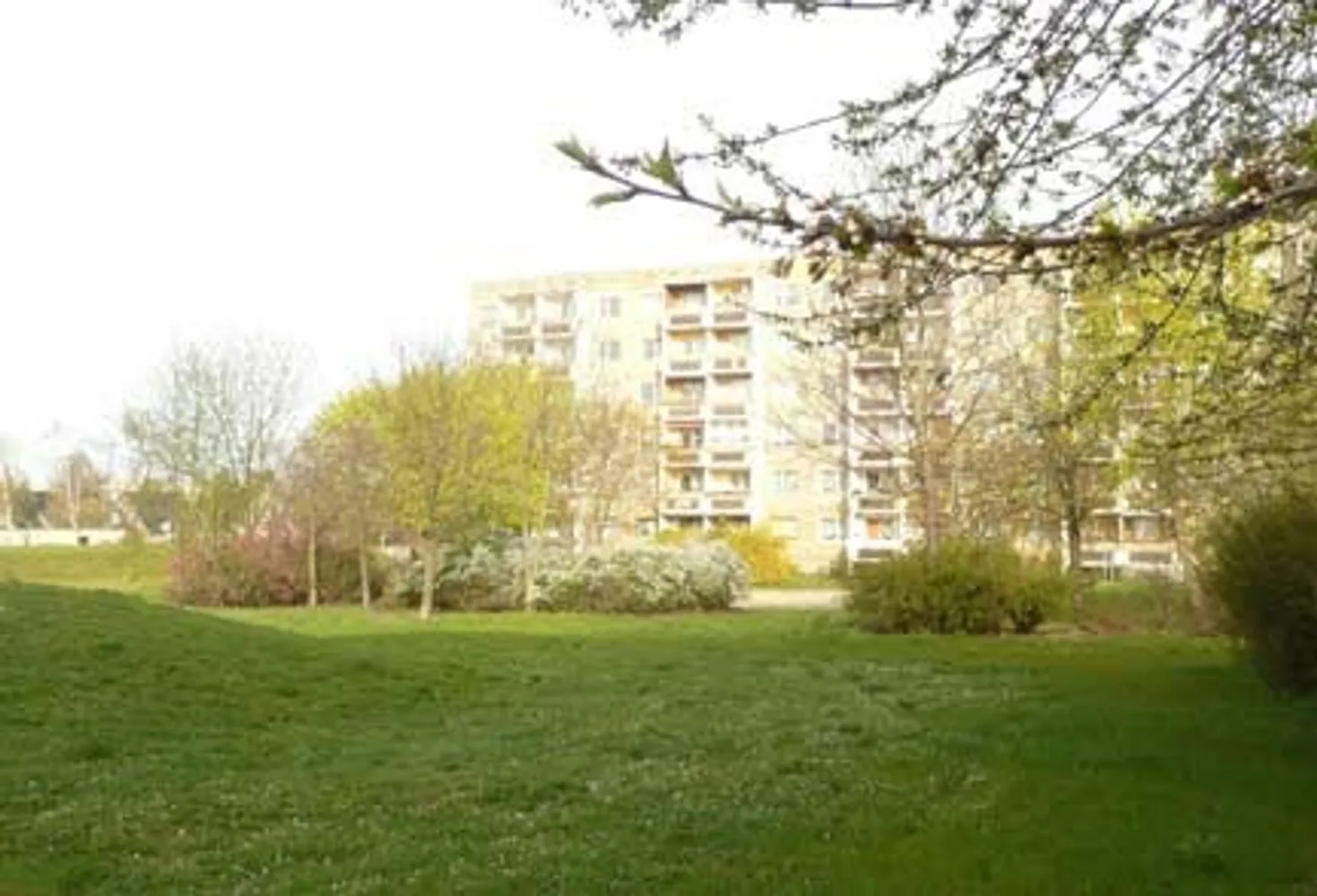 3 Zimmer Wohnung mit 57 m² in Halle (Saale) – Bild 5