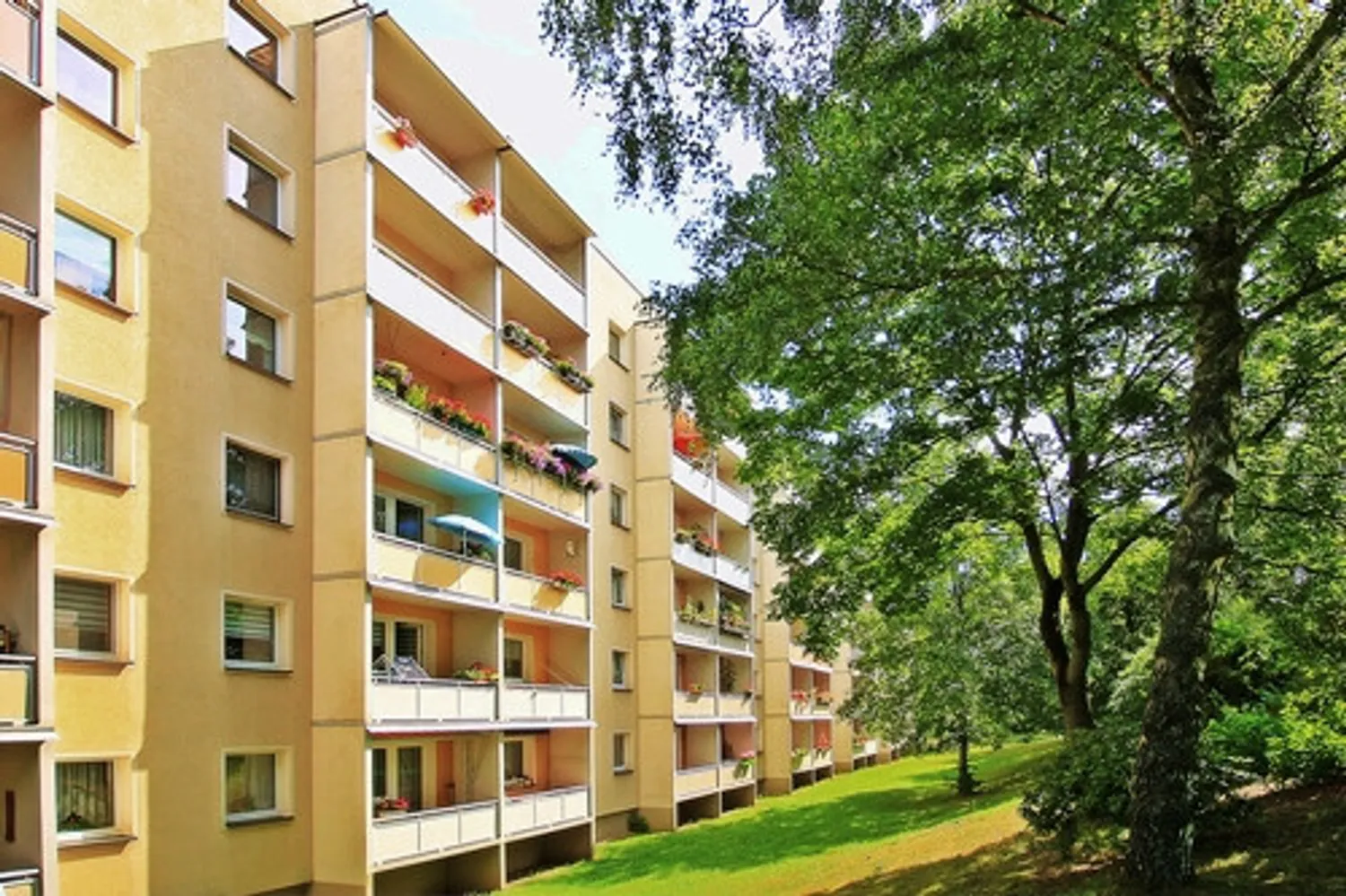 3 Zimmer Wohnung mit 70 m² in Zwickau – Bild 3