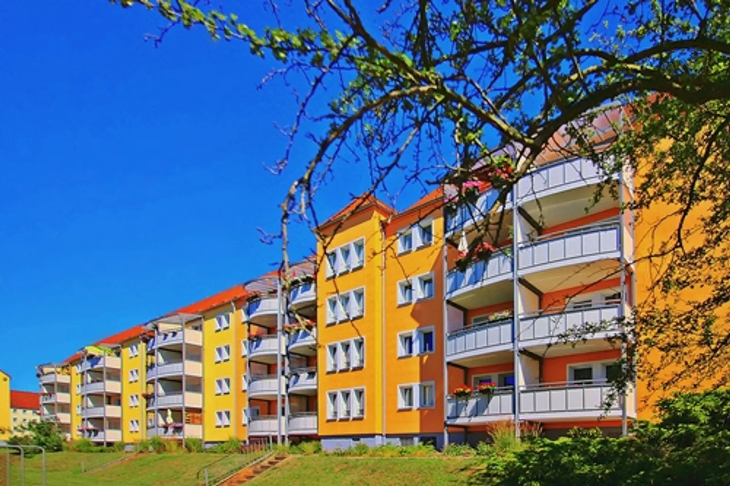 3 Zimmer Wohnung mit 67 m² in Zwickau – Bild 1
