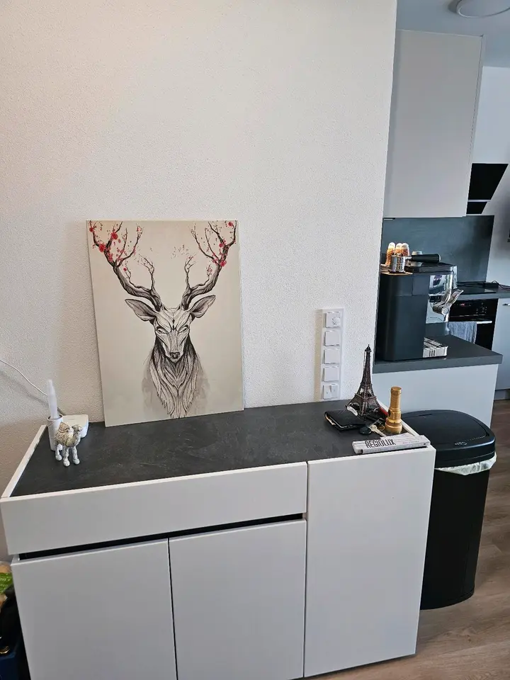 2 Zimmer Wohnung mit 42 m² in Bamberg – Bild 6
