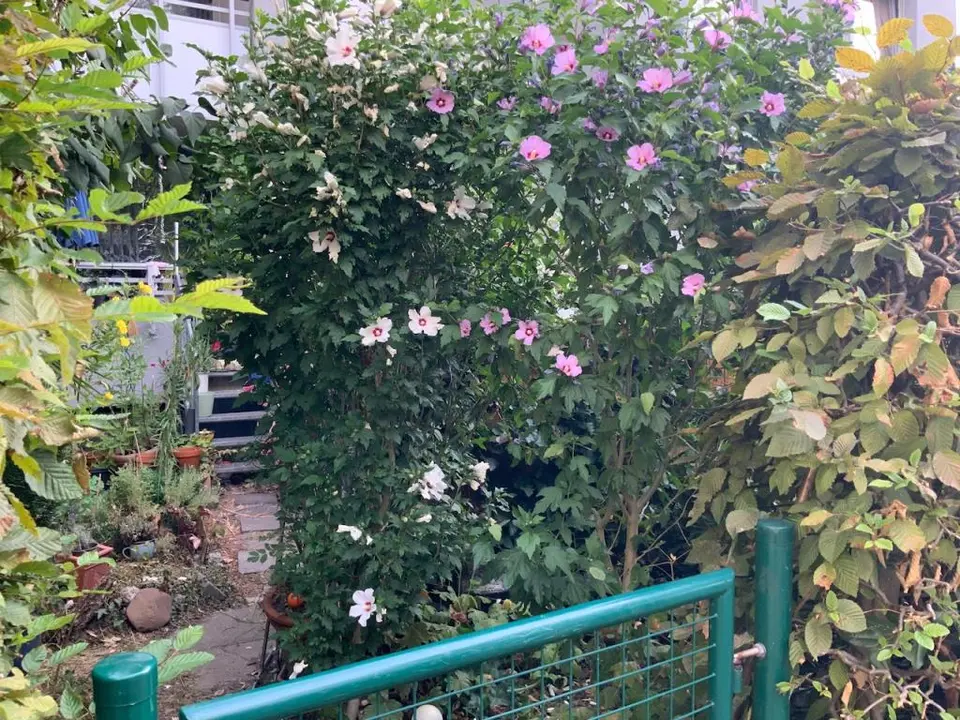 3 Zimmer Wohnung mit 76 m² in Monheim am Rhein – Bild 3