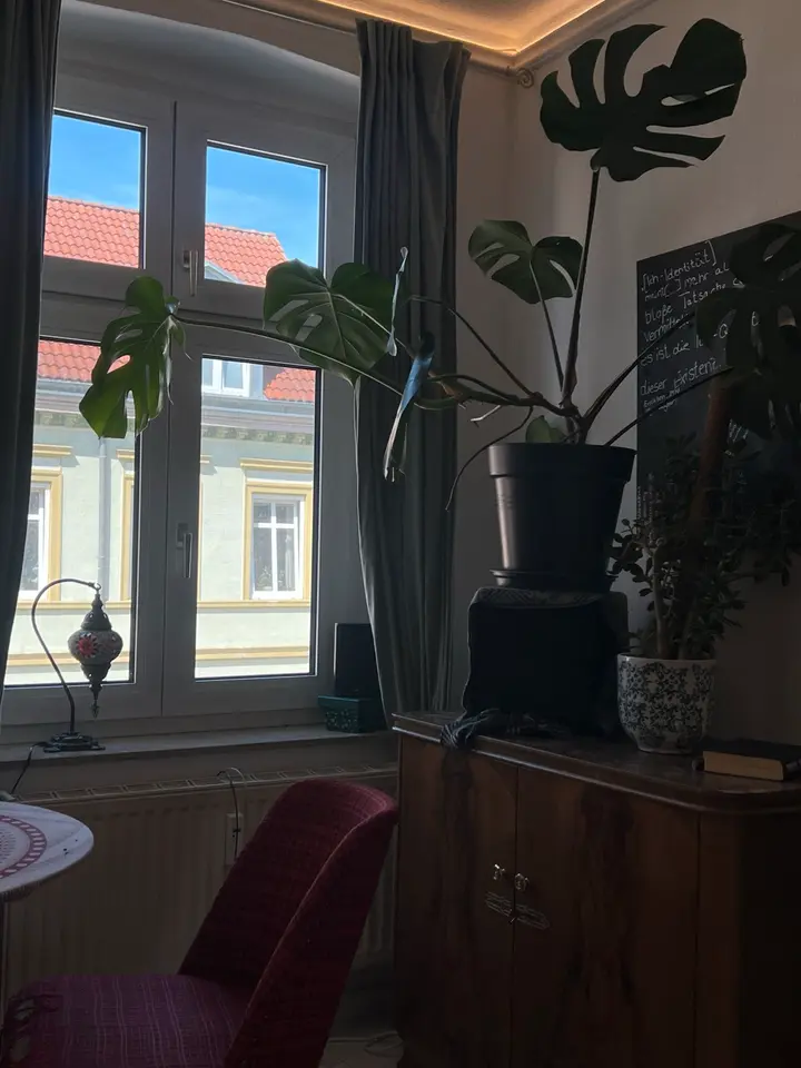 2 Zimmer Wohnung mit 35 m² in Greifswald – Bild 6