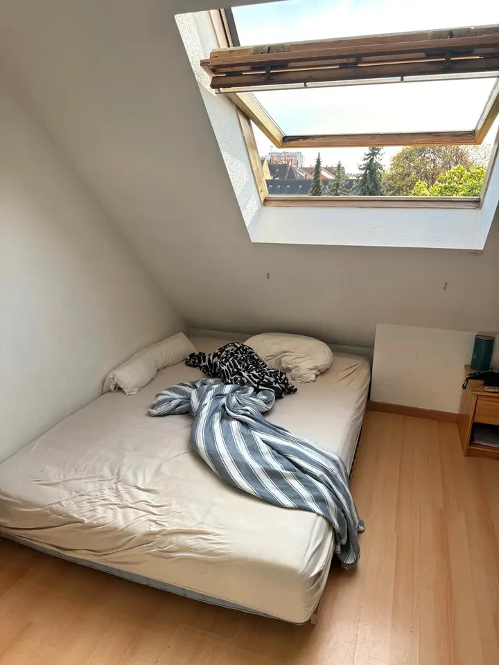 2 Zimmer Wohnung mit 24 m² in Braunschweig – Bild 2