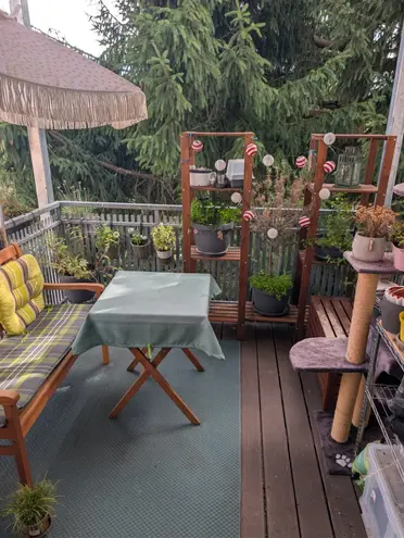4 Zimmer Wohnung mit 103 m² in Chemnitz – Bild 10