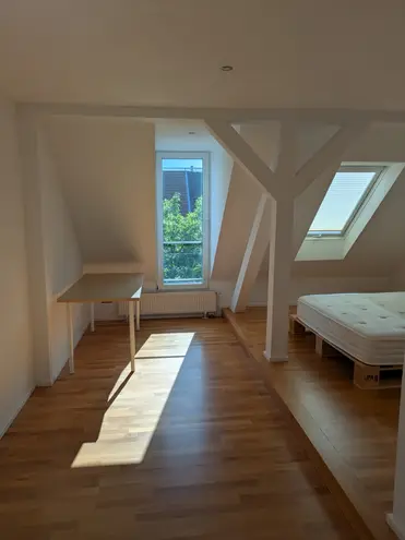 5 Zimmer Wohnung mit 146 m² in Braunschweig – Bild 6