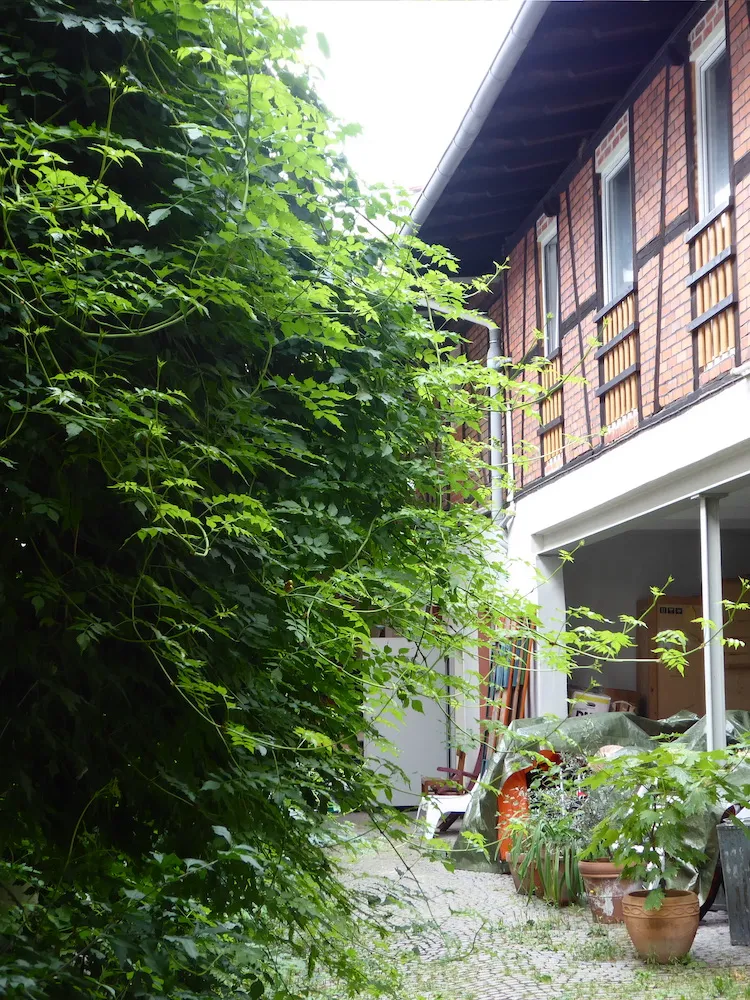 2 Zimmer Wohnung mit 58 m² in Bamberg – Bild 5