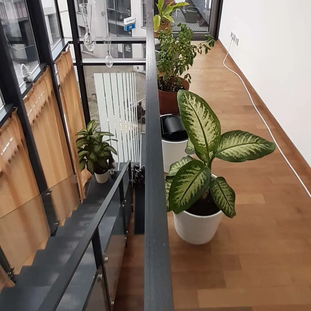 4 Zimmer Wohnung mit 152 m² in Offenburg – Bild 6