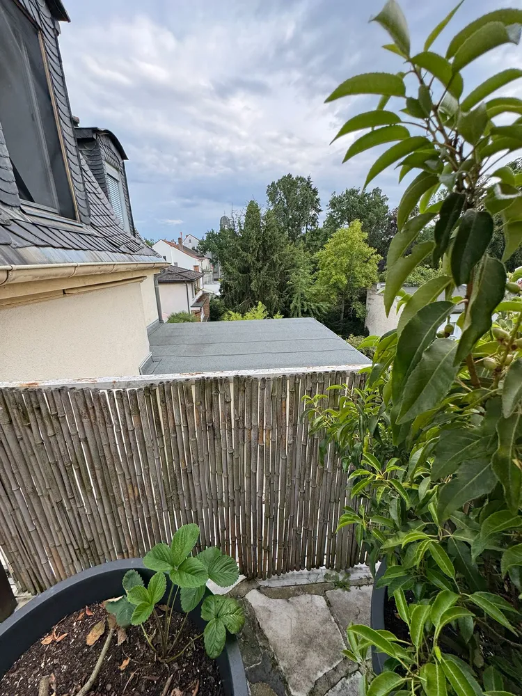 6 Zimmer Wohnung mit 205 m² in Offenbach am Main – Bild 5