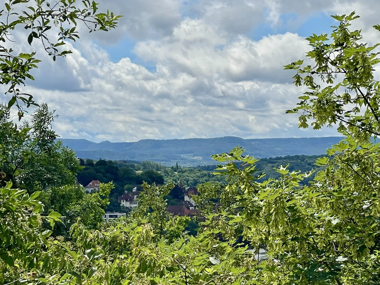3 Zimmer Wohnung mit 93 m² in Tübingen – Bild 2