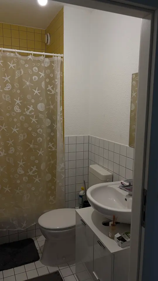 Studio mit 31 m² in Dresden – Bild 5