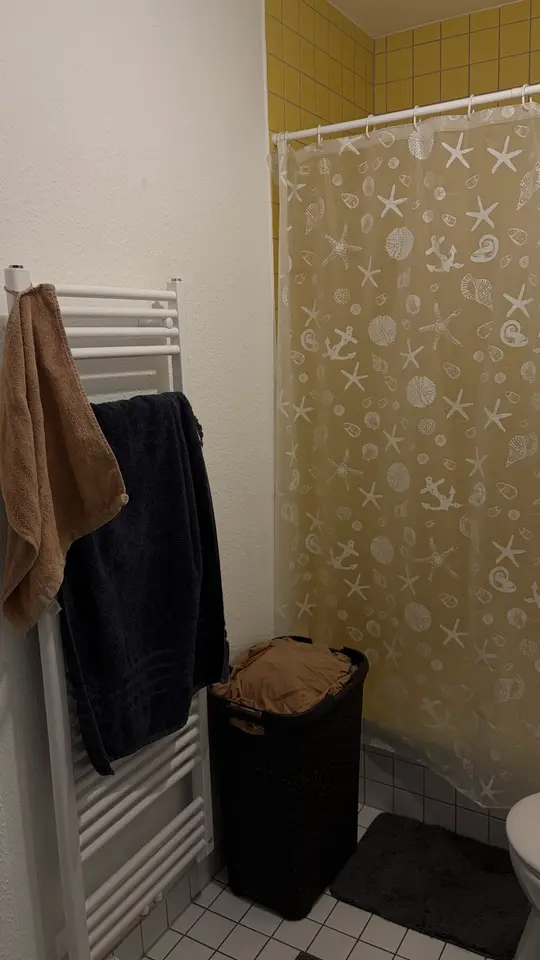 Studio mit 31 m² in Dresden – Bild 6