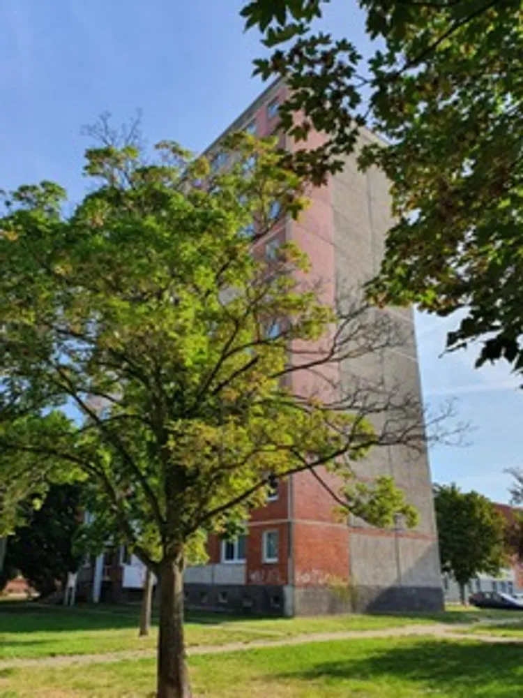 3 Zimmer Wohnung mit 54 m² in Dessau-Roßlau – Bild 2