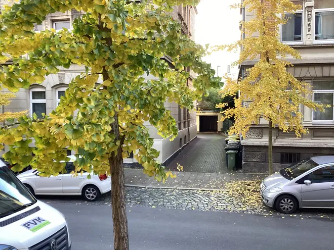 3 Zimmer Wohnung mit 74 m² in Braunschweig – Bild 4