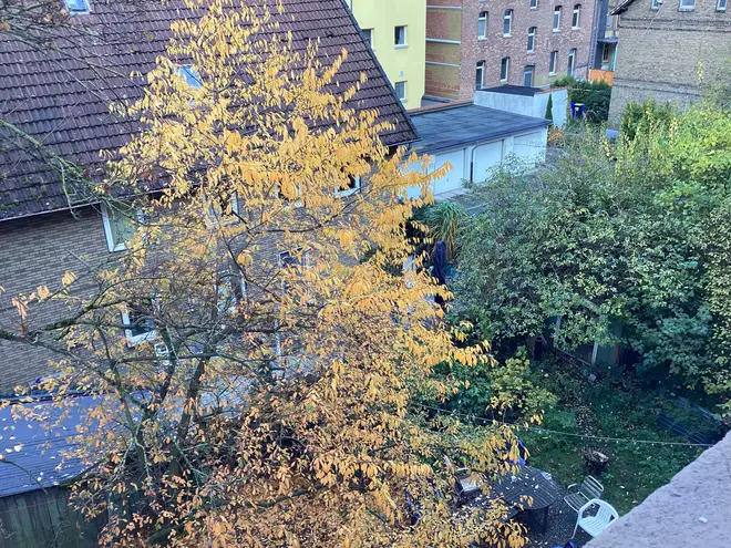 3 Zimmer Wohnung mit 74 m² in Braunschweig – Bild 6