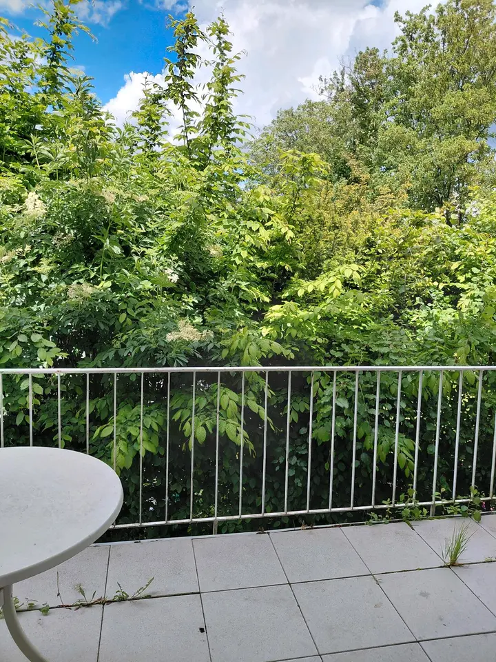 5 Zimmer Haus mit 110 m² in Bonn – Bild 2