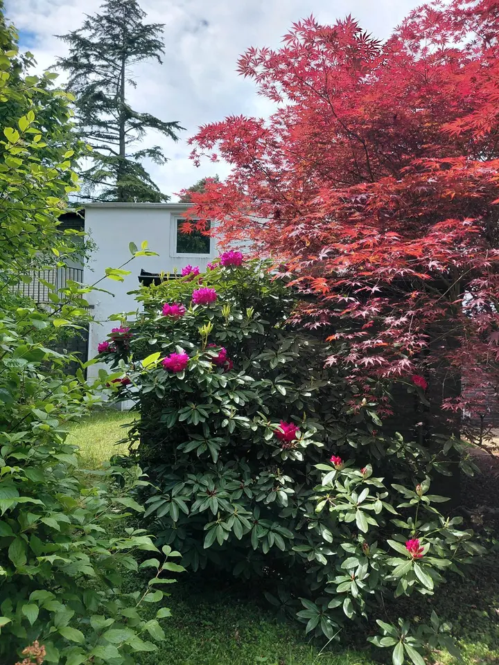 5 Zimmer Haus mit 110 m² in Bonn – Bild 5