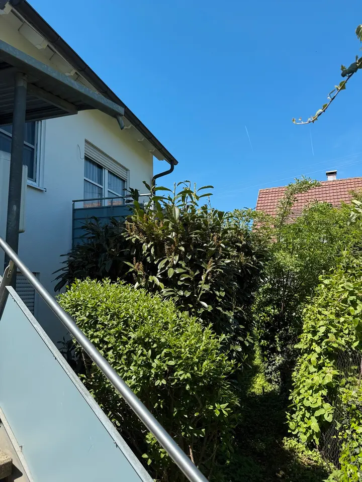 Studio mit 35 m² in Balingen – Bild 4