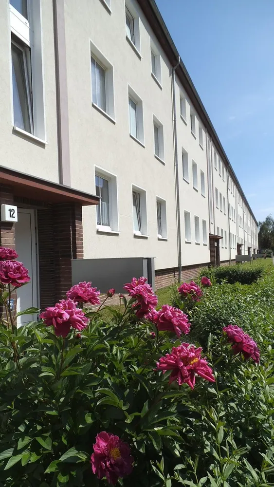 2 Zimmer Wohnung mit 62 m² in Magdeburg – Bild 1