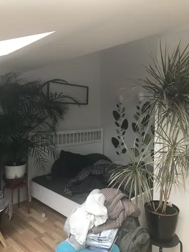 1 Zimmer Wohnung mit 50 m² in Aachen – Bild 6