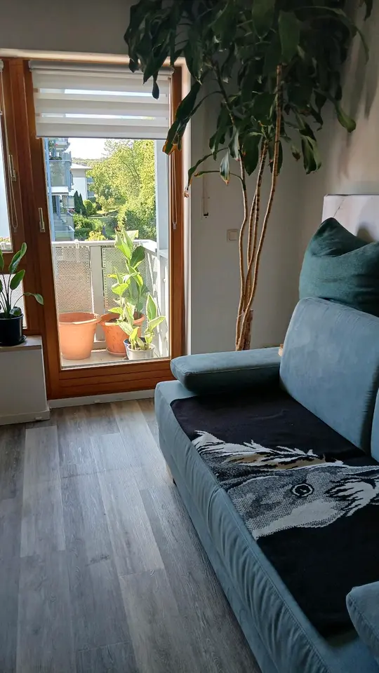 2 Zimmer Wohnung mit 44 m² in Zwickau – Bild 2