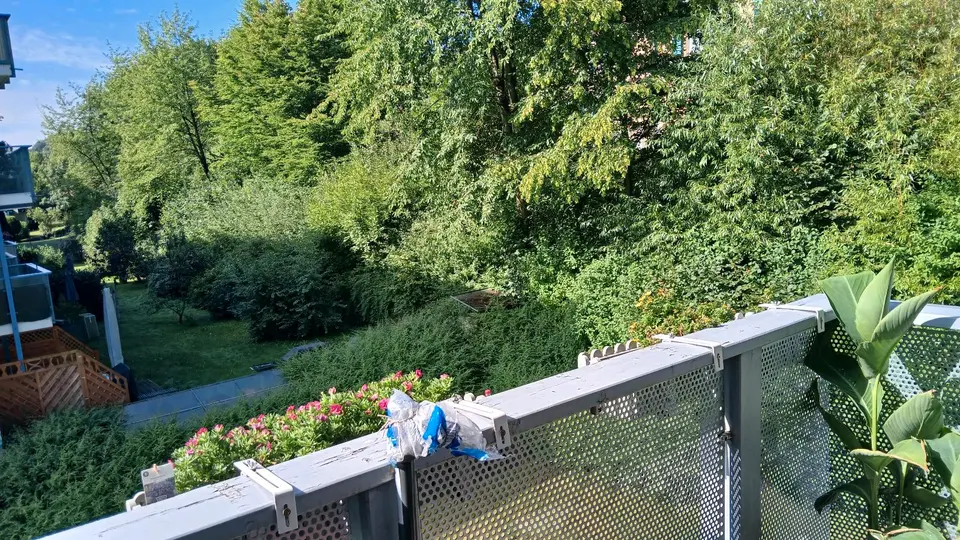 2 Zimmer Wohnung mit 44 m² in Zwickau – Bild 4