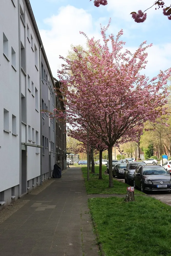 3 Zimmer Wohnung mit 66 m² in Herne – Bild 1