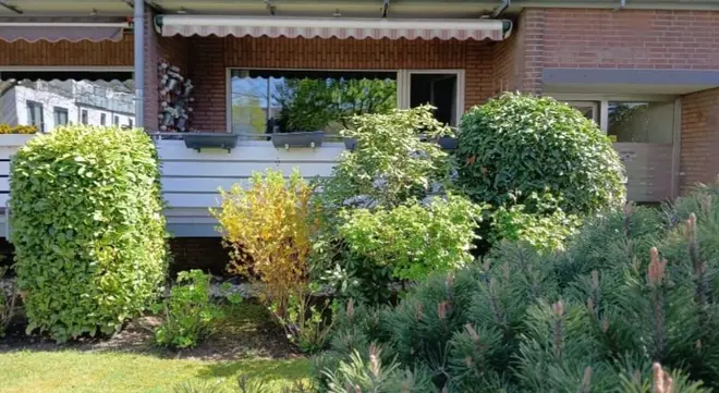 3 Zimmer Wohnung mit 70 m² in Krefeld – Bild 2