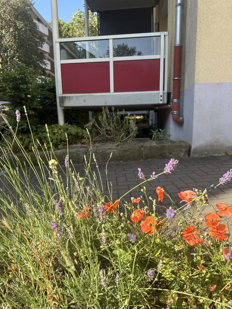 2 Zimmer Wohnung mit 64 m² in Hagen – Bild 1