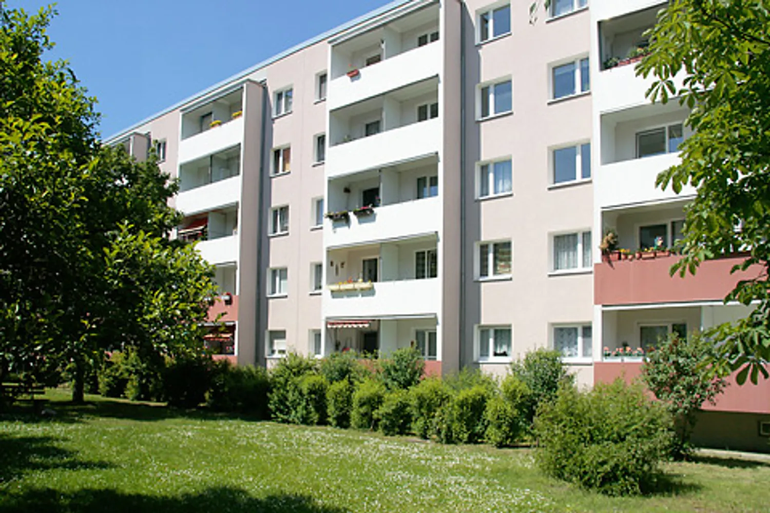 3 Zimmer Wohnung mit 57 m² in Dessau-Roßlau – Bild 3